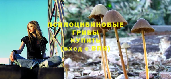 альфа пвп Дмитриев
